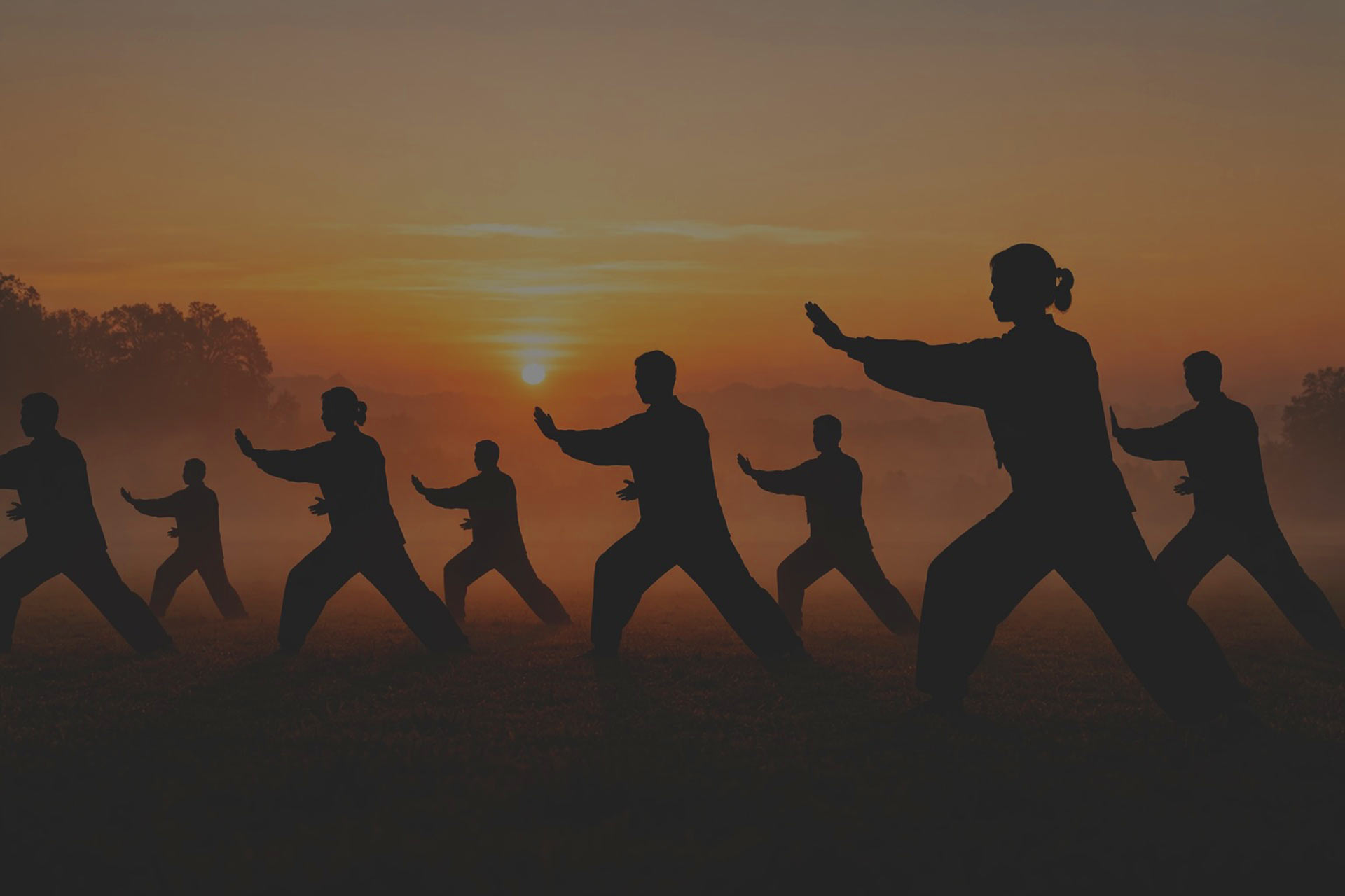 Tai Chi Internal Arts New Zealand
